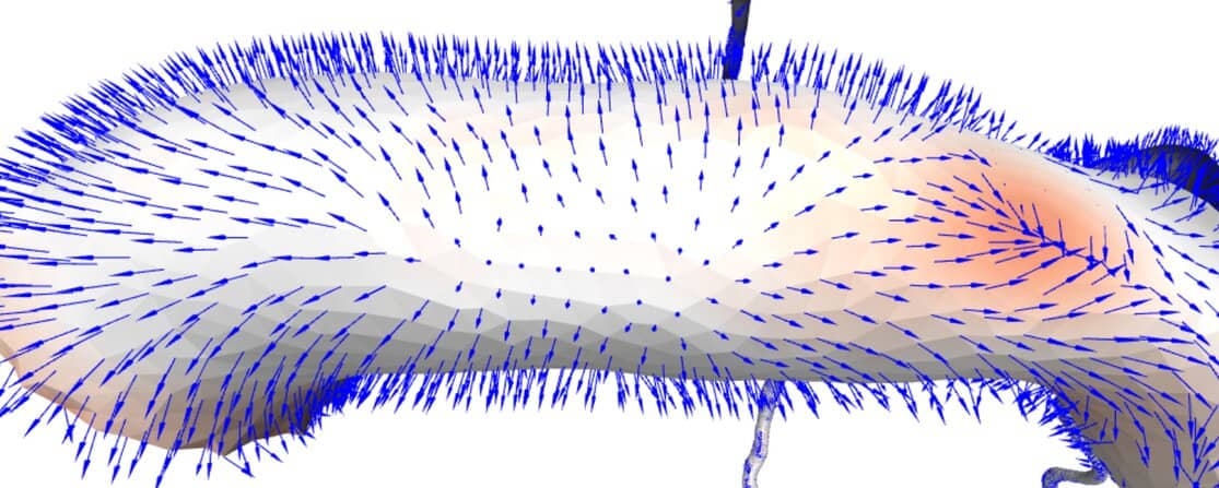 verification of mesh deviation form vessel segmentation