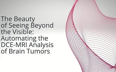 The Beauty of Seeing Beyond the Visible: Automating the DCE-MRI Analysis of Brain Tumors