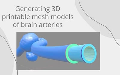 Generating 3D printable mesh models of brain arteries