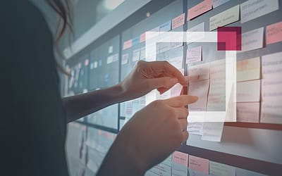 The greatest ills in managing medical software development