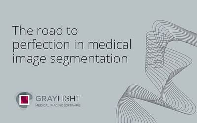 The road to perfection in medical image segmentation process