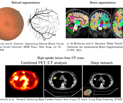 examples of medical image analysis tasks in virtually all modalities and organs
