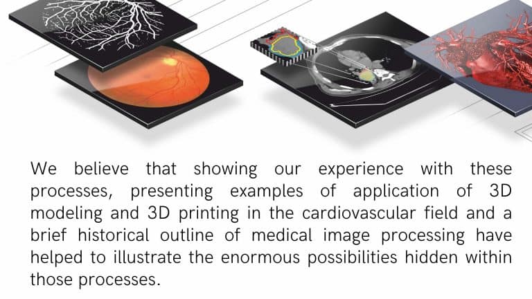 visualisation of different organs prepared based on graylight imaging experience in medical image segmentation process